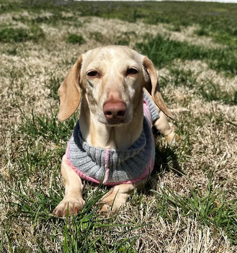 Luna in KY