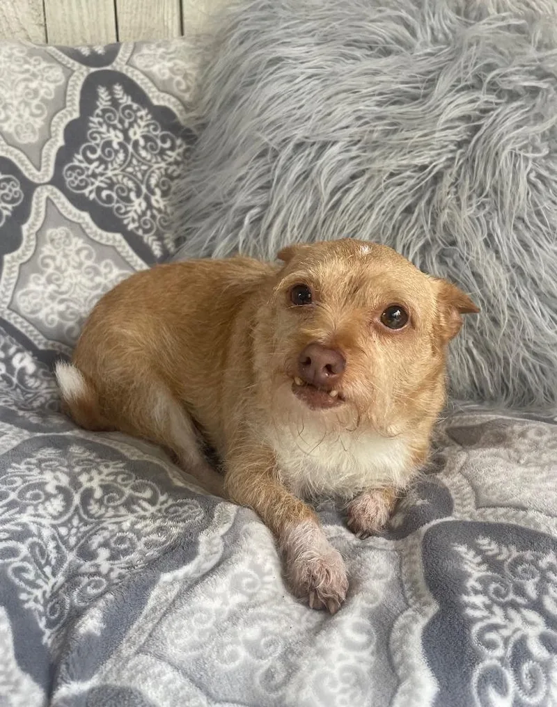 Ellie Mae thumbnail 2