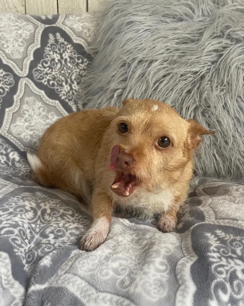 Ellie Mae thumbnail 3