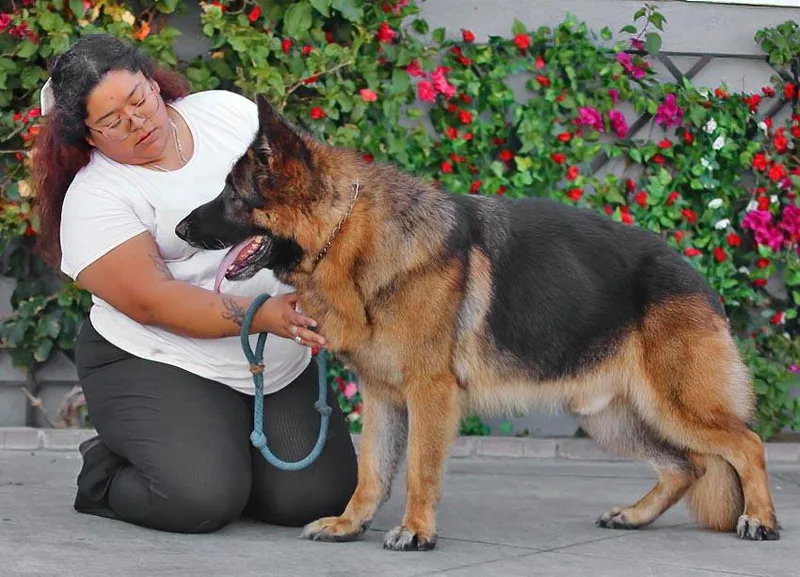 Wolfie Von Wiesloch thumbnail 6