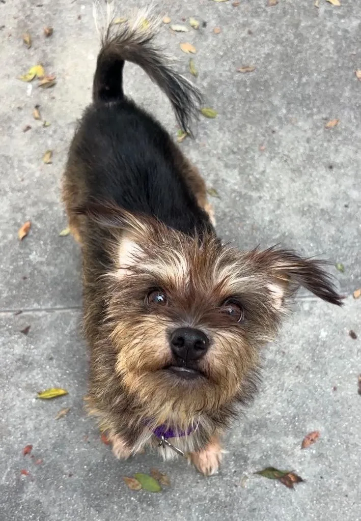 Eleanor