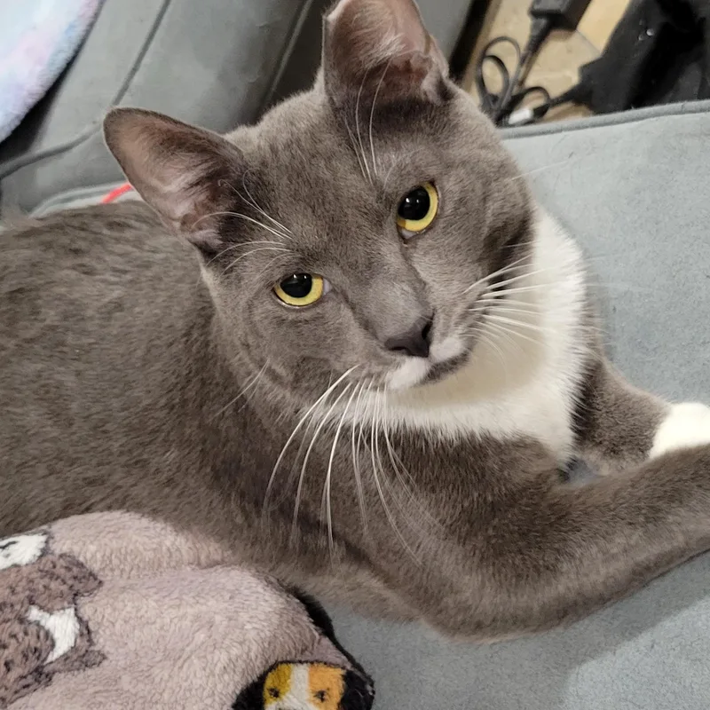 Smoky And Bic thumbnail 2