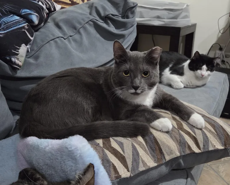 Smoky And Bic thumbnail 3