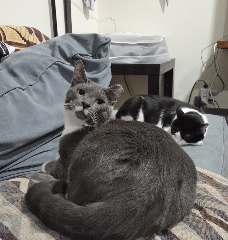 Smoky And Bic thumbnail 6