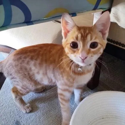 Bradley Cooper thumbnail 3