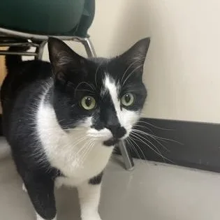 Leah And Keo thumbnail 2