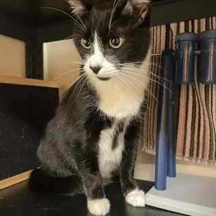 Leah And Keo thumbnail 3