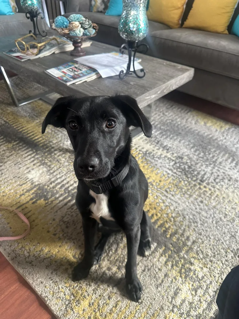 Brielle Bella thumbnail 3