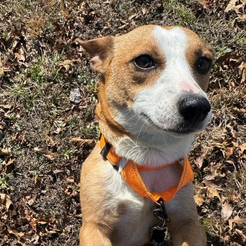 Mrs. Puff thumbnail 3