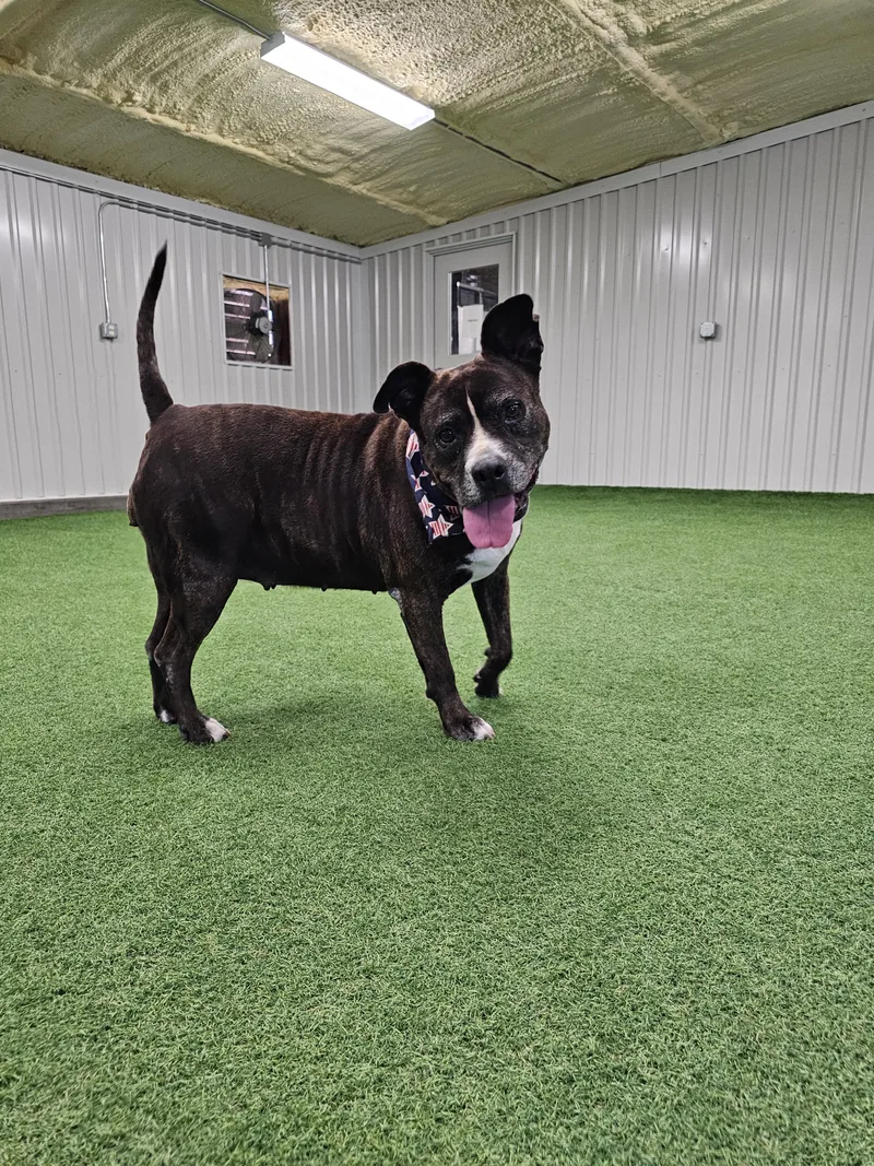 Lacie Mae thumbnail 2