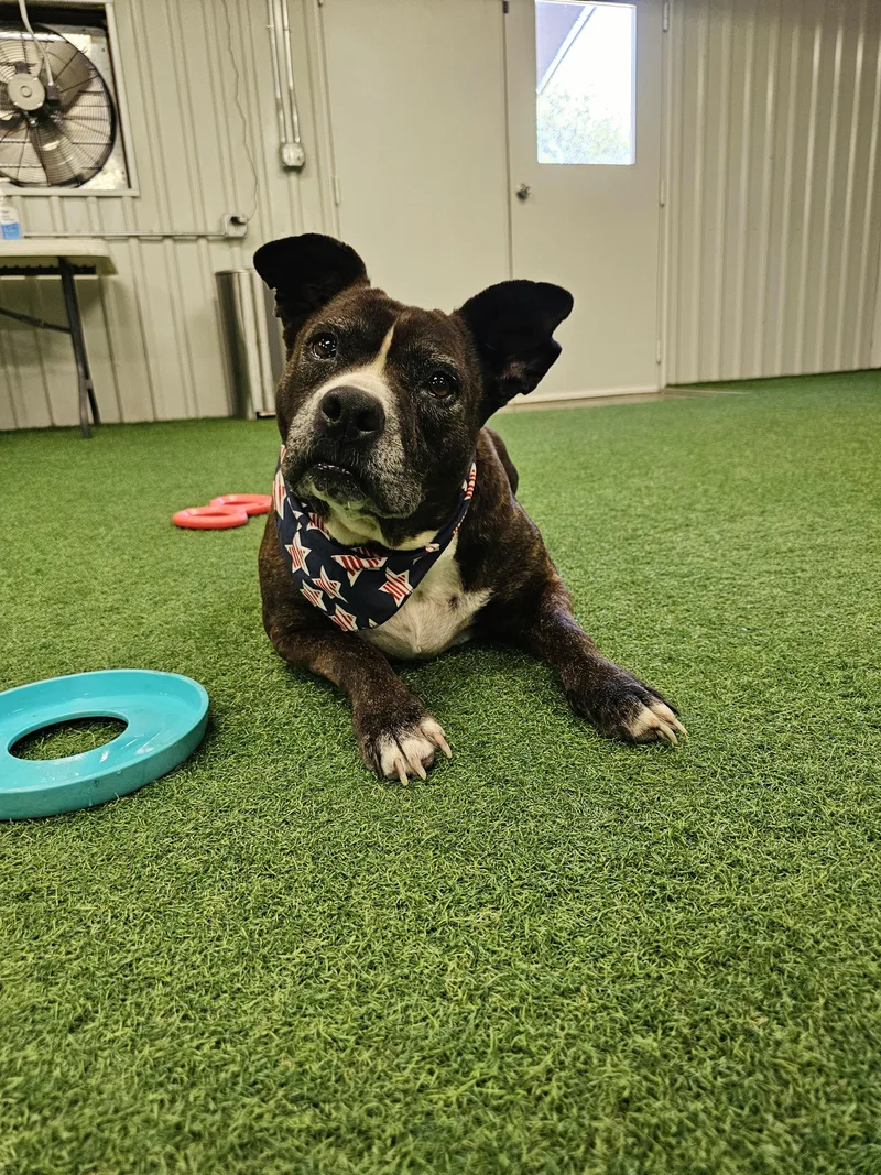 Lacie Mae thumbnail 3