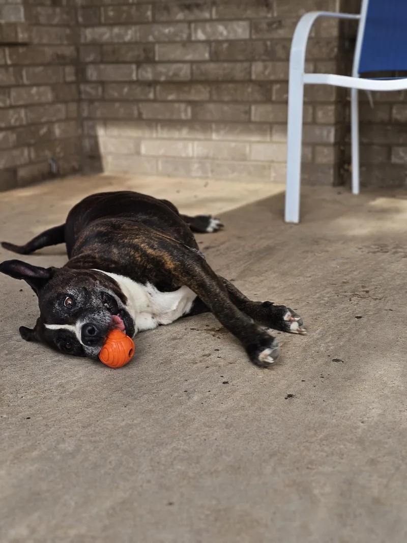 Lacie Mae thumbnail 4