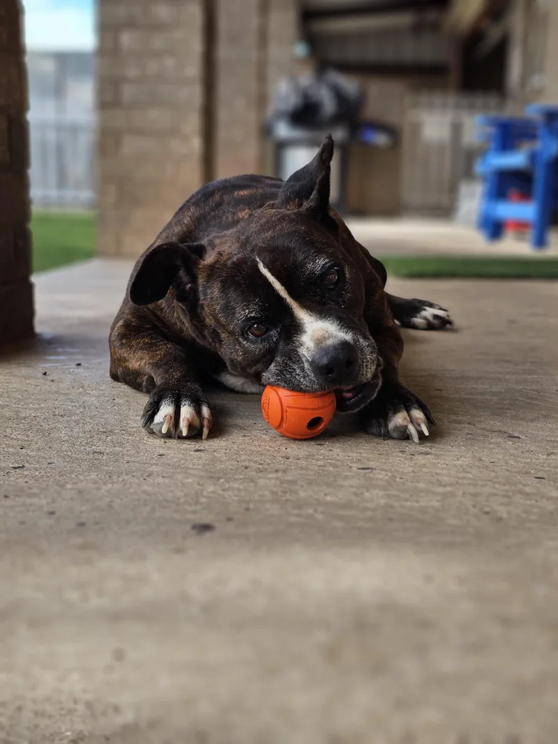 Lacie Mae thumbnail 5