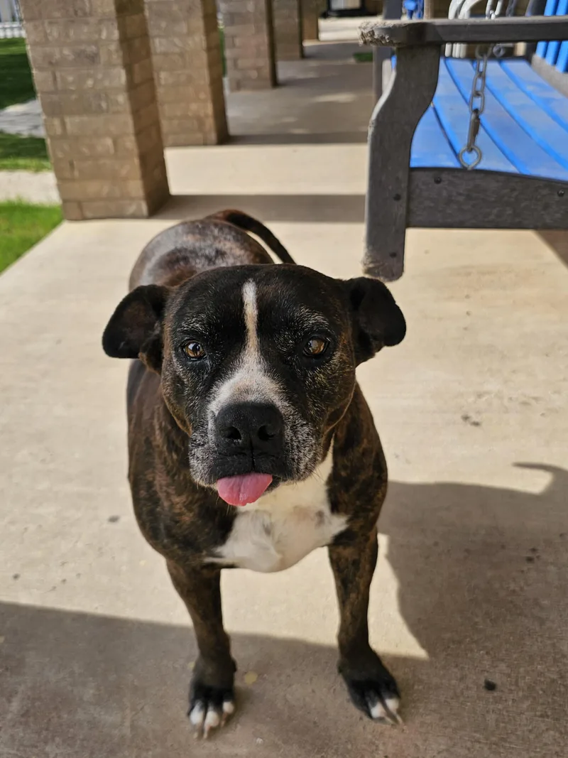 Lacie Mae thumbnail 6