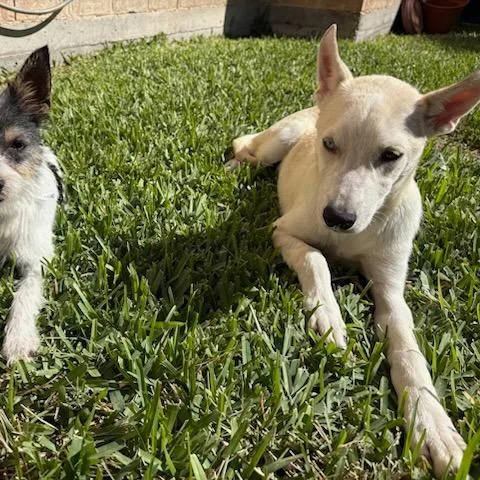 Fireball thumbnail 5