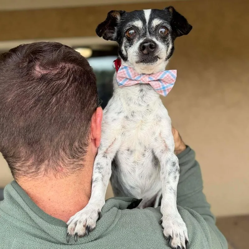 Oreo Mcflurry thumbnail 2