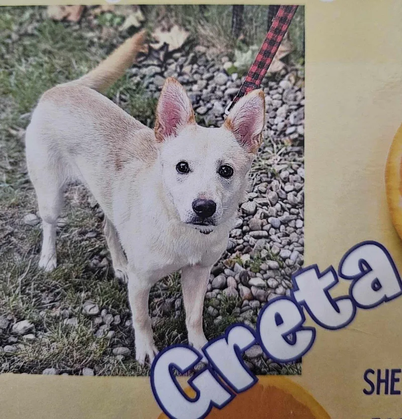 Greta