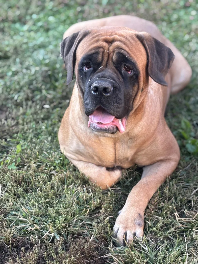 Charlotte thumbnail 2