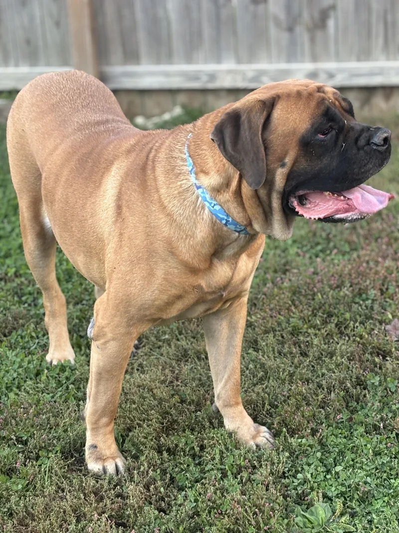 Charlotte thumbnail 3