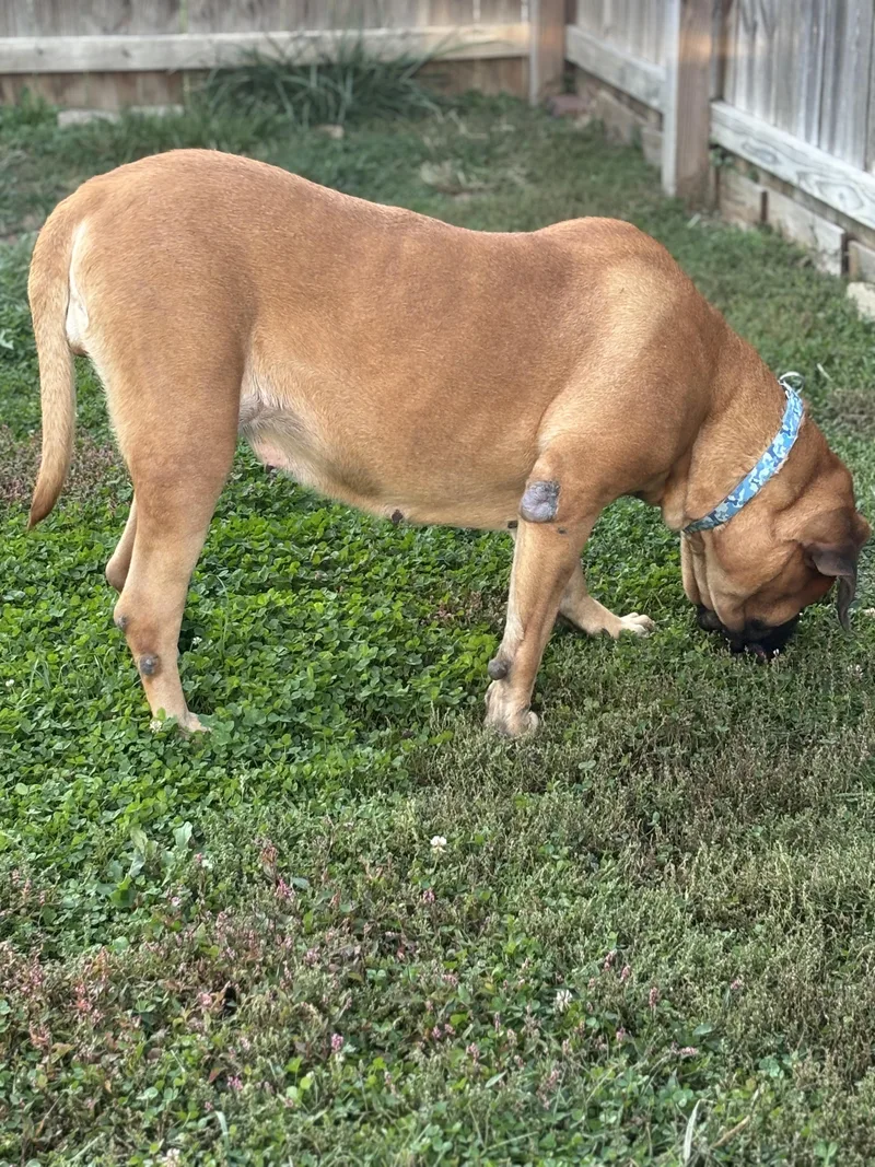 Charlotte thumbnail 5