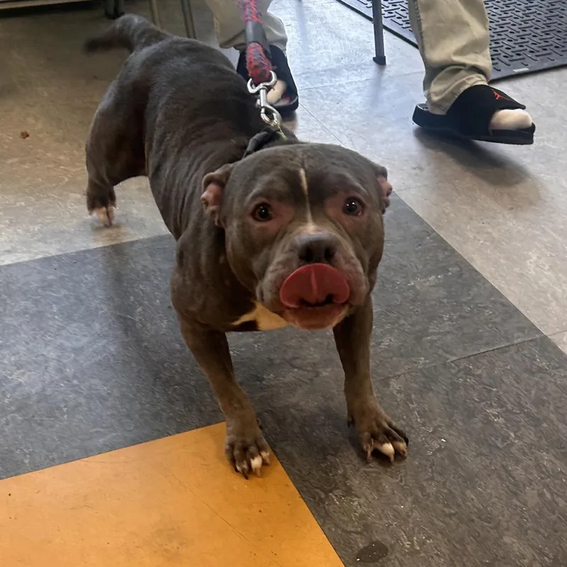 Blue Bubbles thumbnail 2