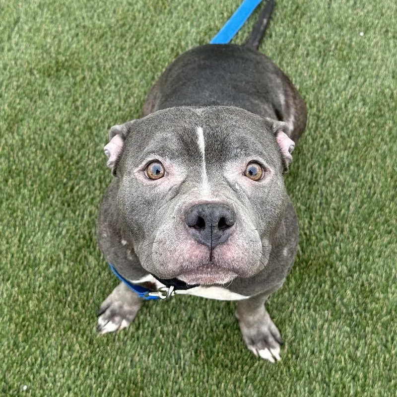 Blue Bubbles thumbnail 3