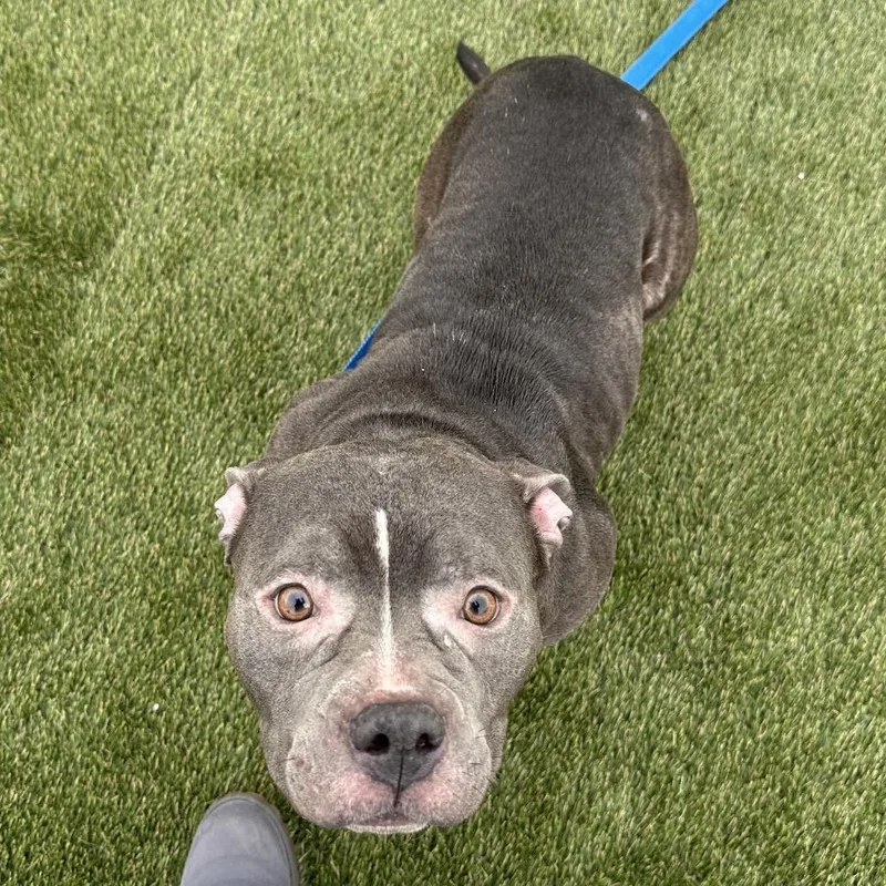 Blue Bubbles thumbnail 4