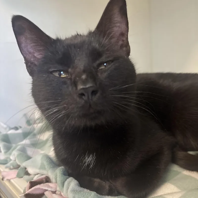 Lcbaymax thumbnail 2