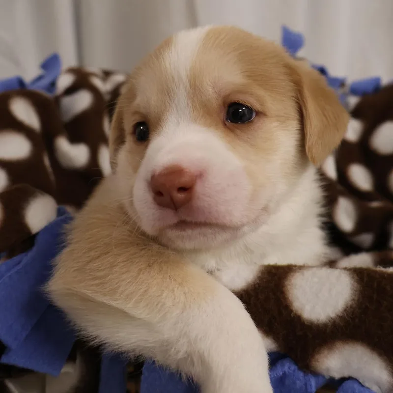 Emmitt thumbnail 2