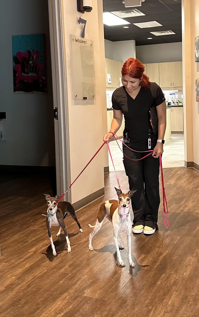 Gretta   Houston thumbnail 3