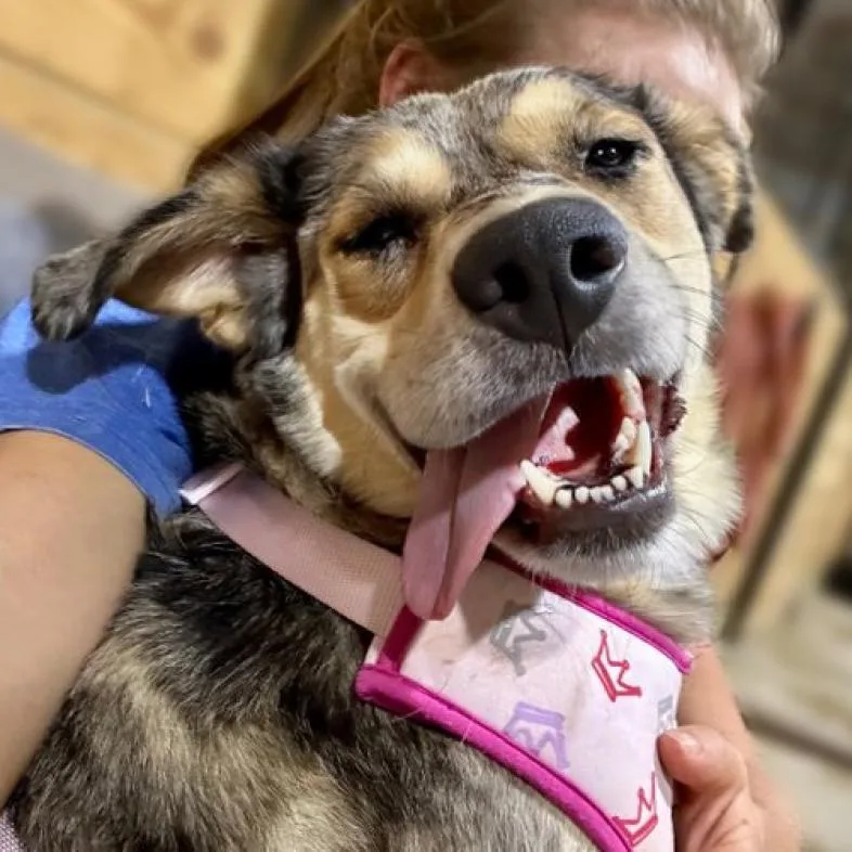 Bridgette thumbnail 2