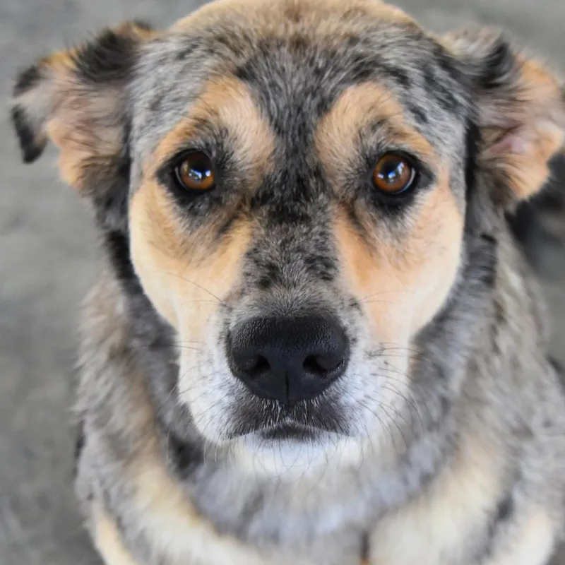 Bridgette thumbnail 3