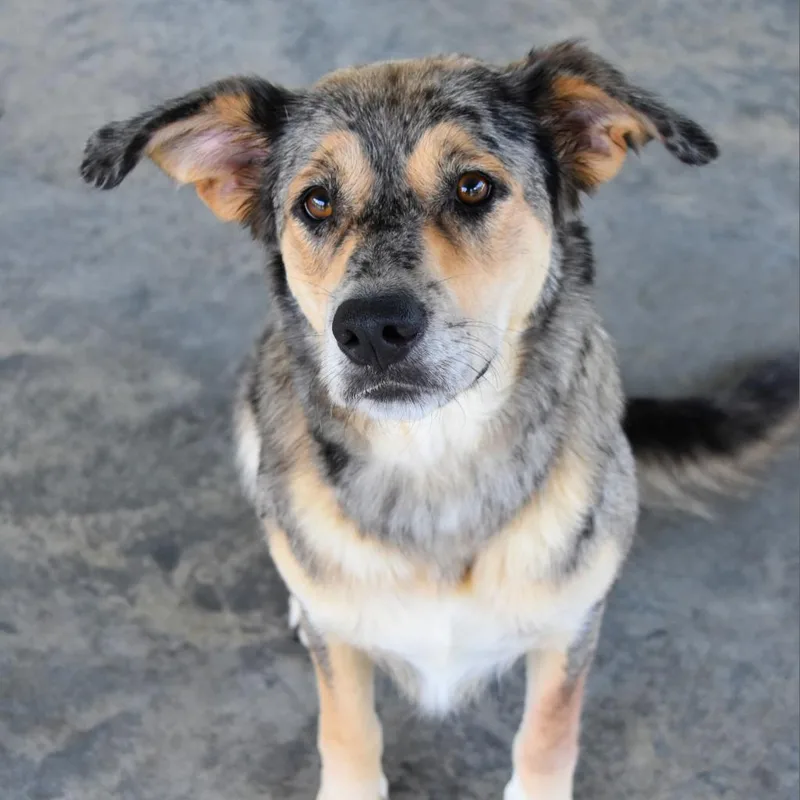 Bridgette thumbnail 4