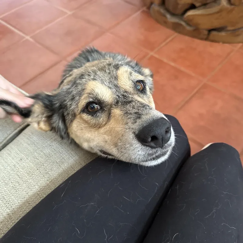 Bridgette thumbnail 5