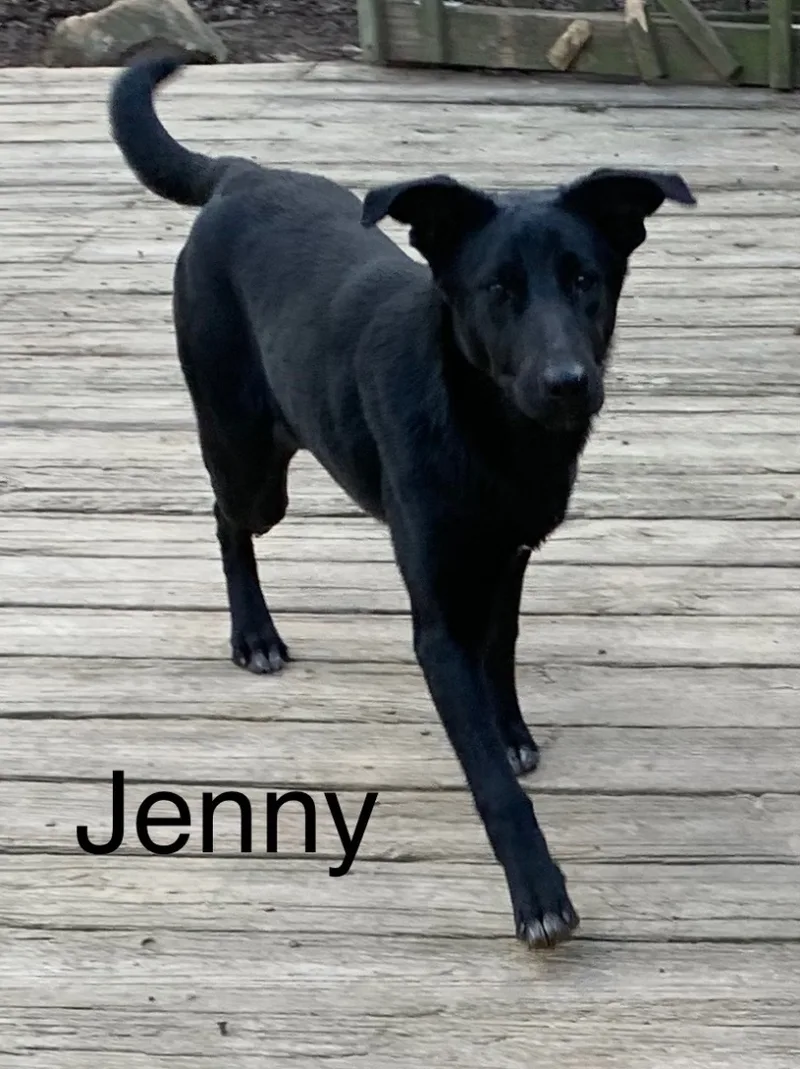 Jenny thumbnail 2