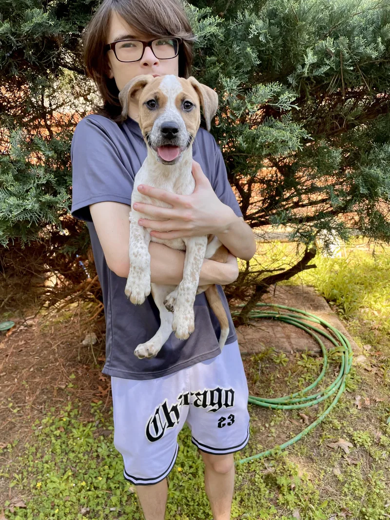 Speckle's thumbnail 2