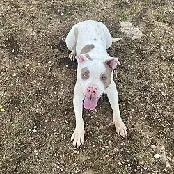 Kiera Gdp thumbnail 2