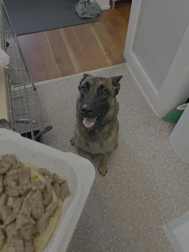 Molly  Located In thumbnail 5