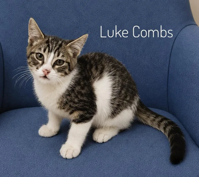 Luke Colms thumbnail 2