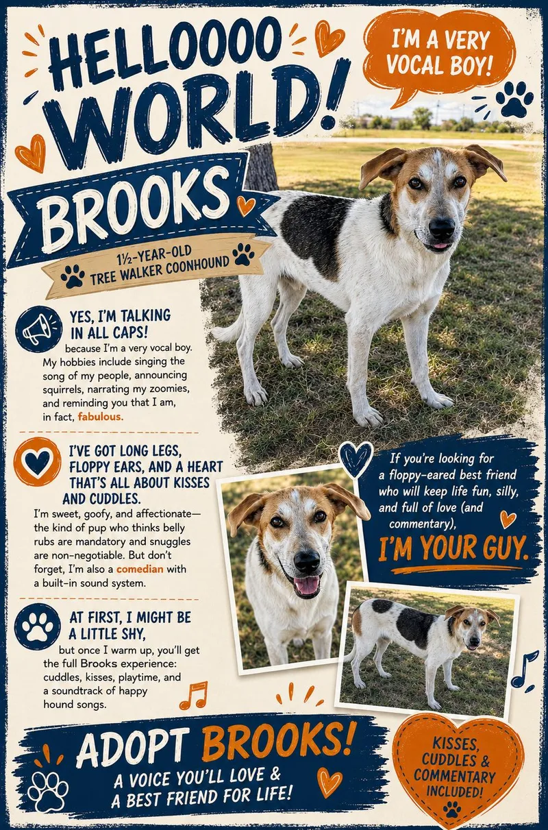 A young medium-sized male White / Cream Treeing Walker Coonhound dog named Brooks for adoption in Cleburne, TX