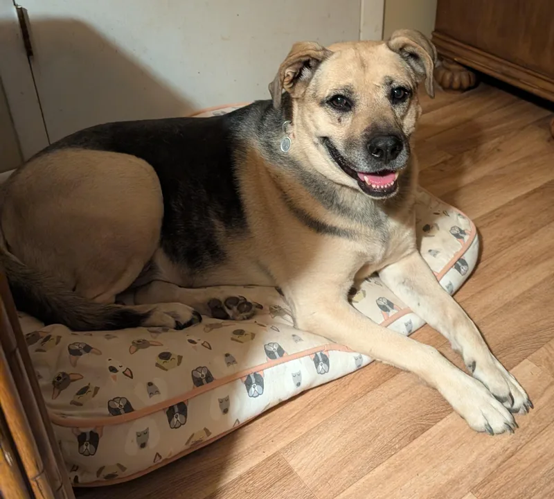 Mya Simpson thumbnail 2