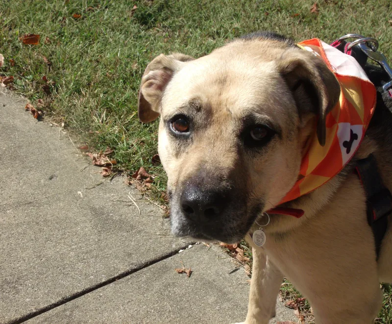 Mya Simpson thumbnail 3