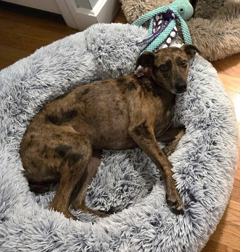 Lucinda Gatlin thumbnail 2