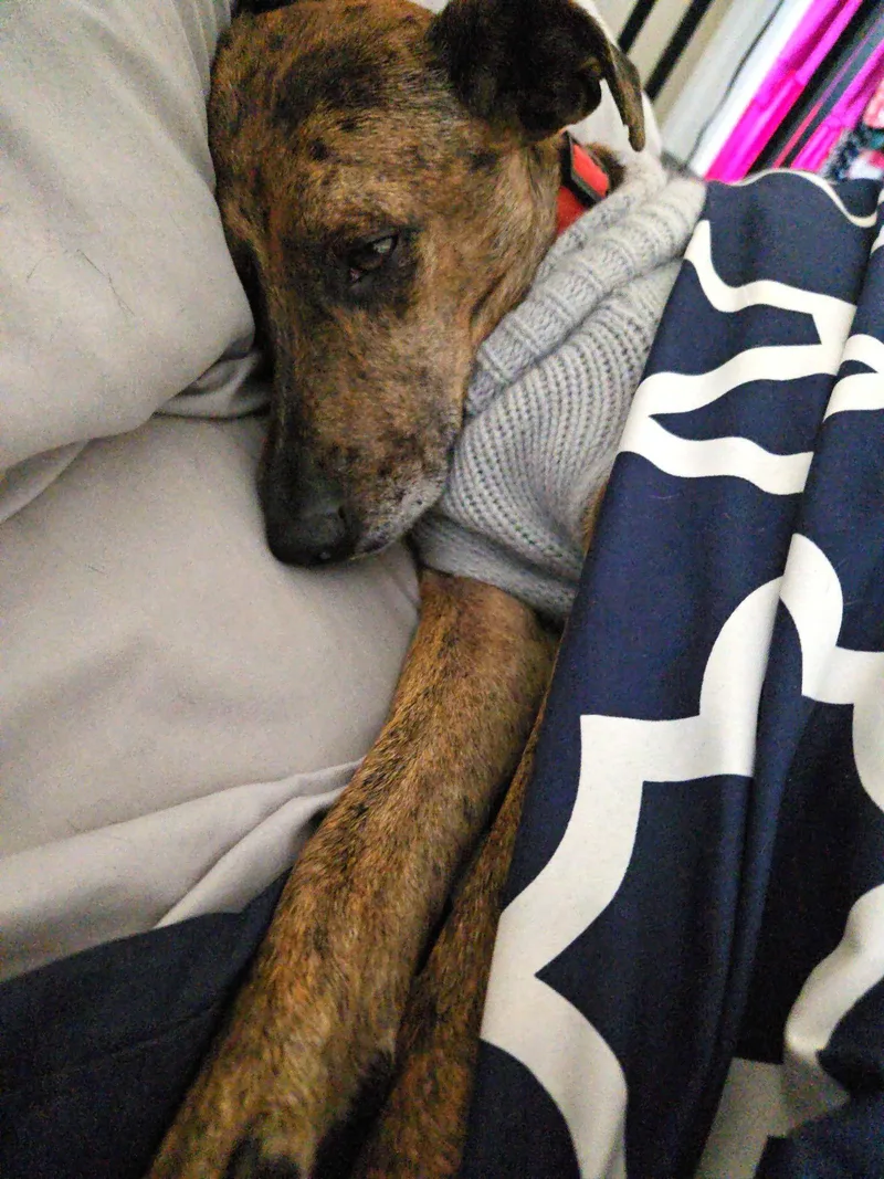 Lucinda Gatlin thumbnail 3