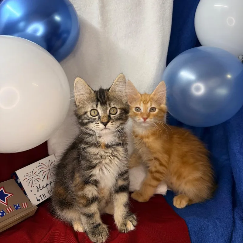 Tango & Cash