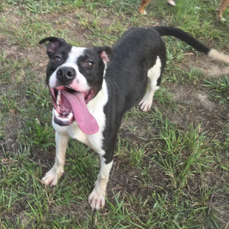 Zeb thumbnail 4
