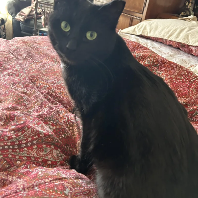 Suki Grace thumbnail 2