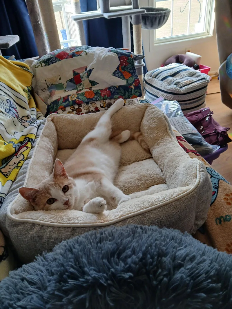 Charlene thumbnail 2