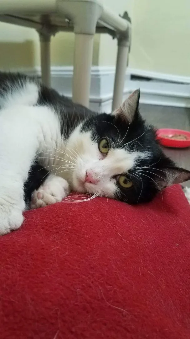 Katy Purry thumbnail 2