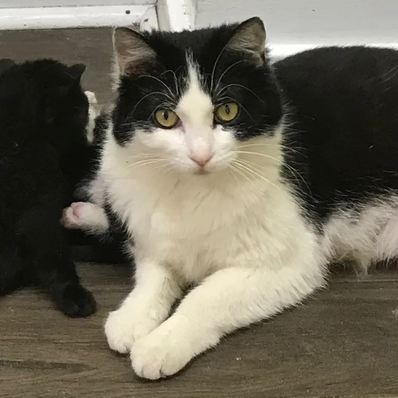 Katy Purry thumbnail 4